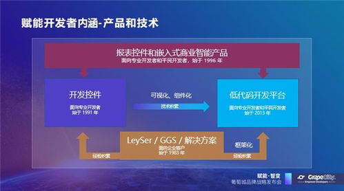 葡萄城發布軟件開發業務新使命，賦能開發者創新與成長