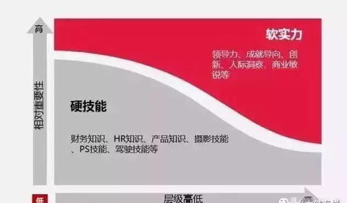 無人水餃工廠的興起 自動化浪潮下的挑戰與數字文創的機遇